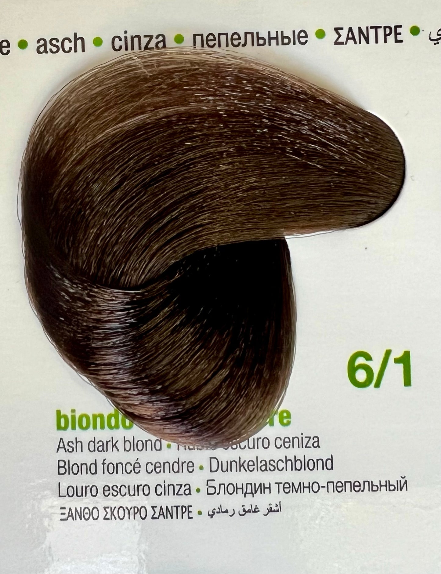 6.1 Ash Dark Blonde