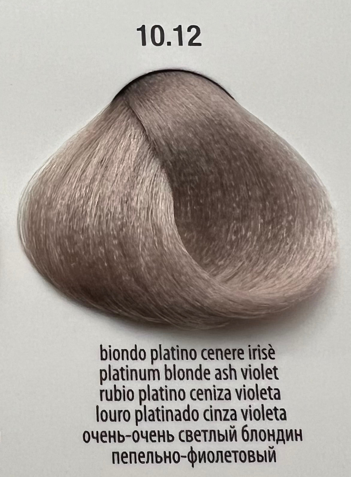 10.12 Platinum Blonde Ash Violet